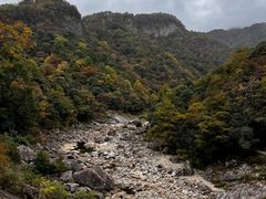 -燕子河大峡谷天坑仙境