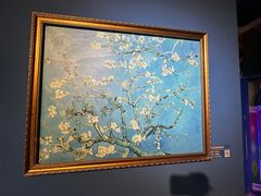 -上海梵高星空艺术馆(南京路旗舰店)