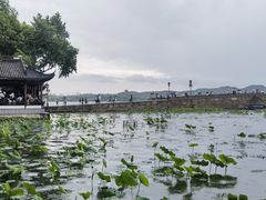 -知味观(湖滨总店)