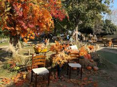 -HERRE·FARM 赫尔露营农场·团建聚会包场