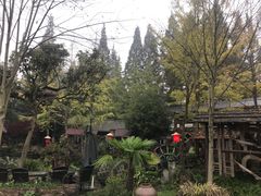 -青城甲(青城山店)