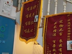 -科道动物医院·急重症中心(万达院)