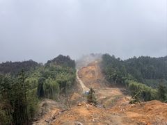 -缙云山景区