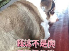 -茶力的小怪兽(梅林卓悦汇店)