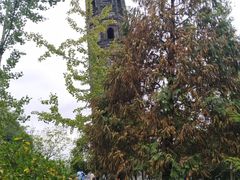 -上海佘山国家森林公园天马山园