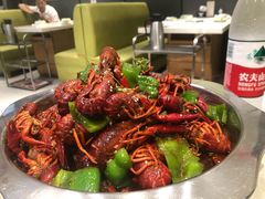 -古乐牛香·鲜牛肉牛杂火锅(梅村五洲国际店)