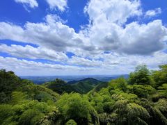 -莫干山风景区