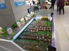 -盒马鲜生(联投广场店)