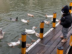 -J Create城市露营咖啡·简餐·宠物(上海动物园店)