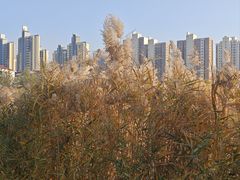 -南翠屏公园