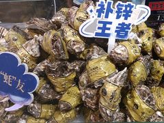 -真味海鲜坊