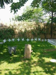 -DORA kids 朵拉儿童摄影花园店