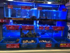 -小龍鳳·港式海鲜打边炉(沙湖路店)