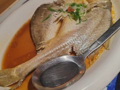 鸡汁蒸黄鱼-江南赋(内蒙古大厦店)