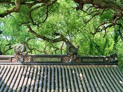 -普陀山风景名胜区-法雨禅寺