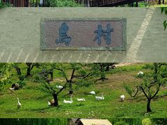 -乌村