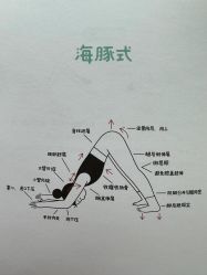 -素简女子塑形·健身普拉提