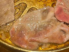 -猪啊牛呀羊啊水煮肉