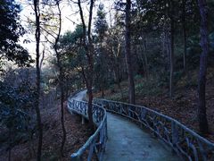 -南京市无想山景区