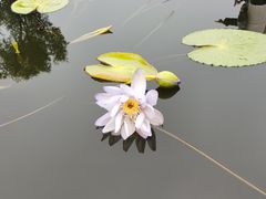 -筋骨堂热敷推拿按摩(枫林绿洲店)