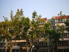 -张家油条