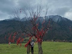 -硗碛藏寨·神木垒景区