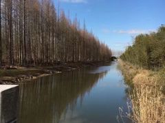 -黄海国家森林公园