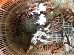 -沙田台山海鲜·酣客酒窖