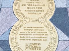 -影汇之星8字形摩天轮
