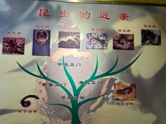 -上海昆虫博物馆