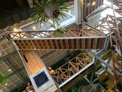 大堂-Rainforest
