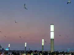 -东港音乐喷泉广场