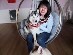 -Husky Go! 哈士奇体验馆·宠物咖啡厅狗咖