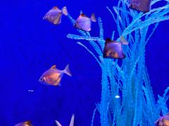 -沈阳海洋探索中心