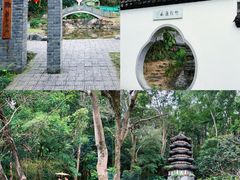 -深圳国际园林花卉博览园