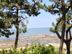 -日照海滨国家森林公园