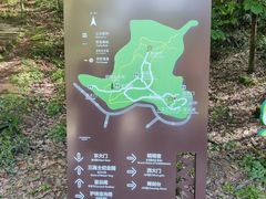 -上海佘山国家森林公园天马山园