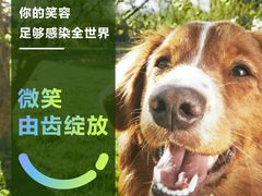 -柏乐口腔医院·舒适化无痛种植牙中心(东盟商务区院)