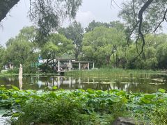 -北陵公园