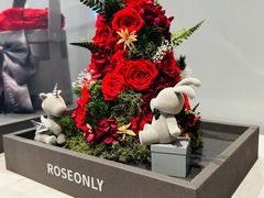 -ROSEONLY诺誓(磐基中心店)