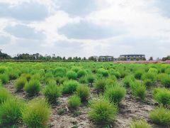 -映月湖中央公园
