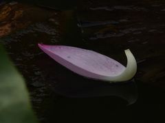 -大宁灵石公园西门票处