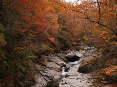 -光雾山旅游景区
