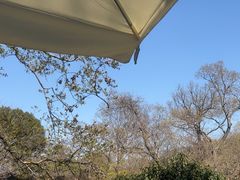 -龙井壹号·茶缘山景宴(龙井村店)