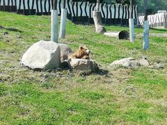 -西安秦岭野生动物园