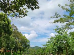 -田心森林公园