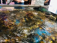 -盒马鲜生(大成店)
