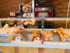 -西树泡芙(珠海华发商都店)