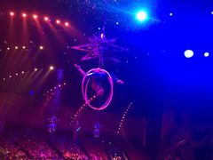 -珠海横琴长隆《卡卡虎奇遇记》