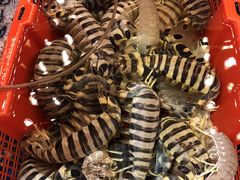 斑马虾-79号渔船海鲜饭店(华强北店)